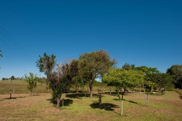 12 Bally Keel Road, ALLIGATOR CREEK QLD 4816, Alligator Creek - Thumbnail 4