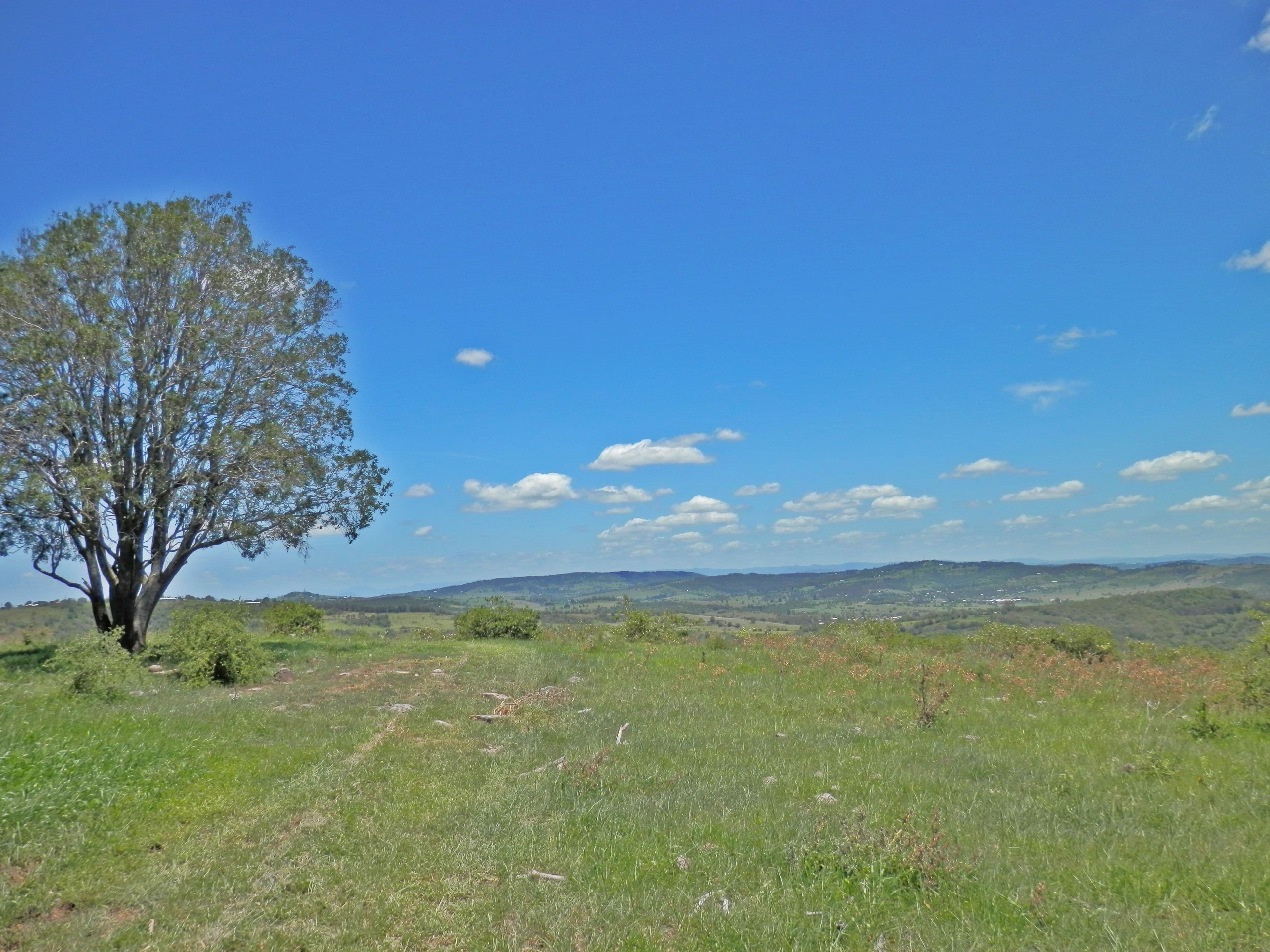 195 Lehmanns Road, Coolana QLD 4311, Coolana - Thumbnail 2