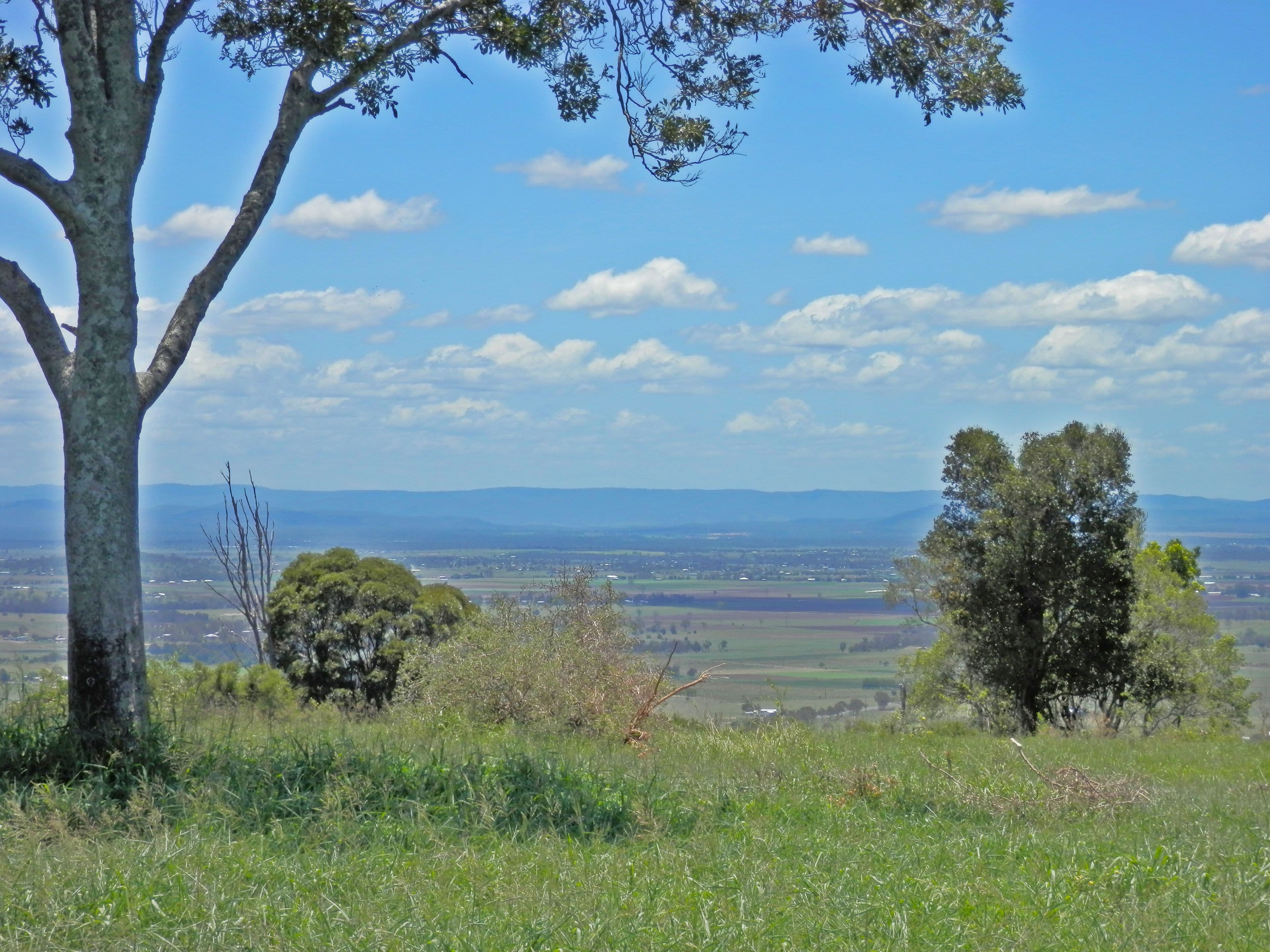 195 Lehmanns Road, Coolana QLD 4311, Coolana - Thumbnail 3