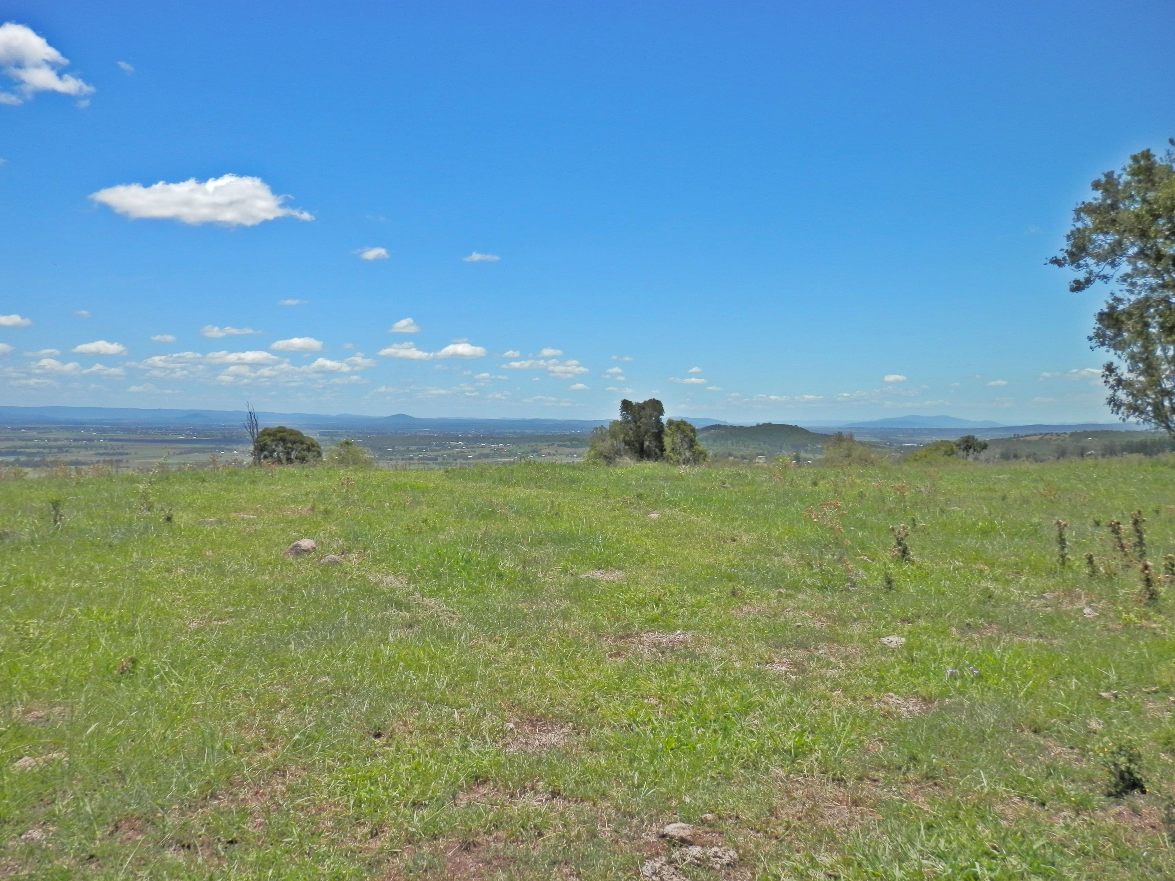195 Lehmanns Road, Coolana QLD 4311, Coolana - Thumbnail 4