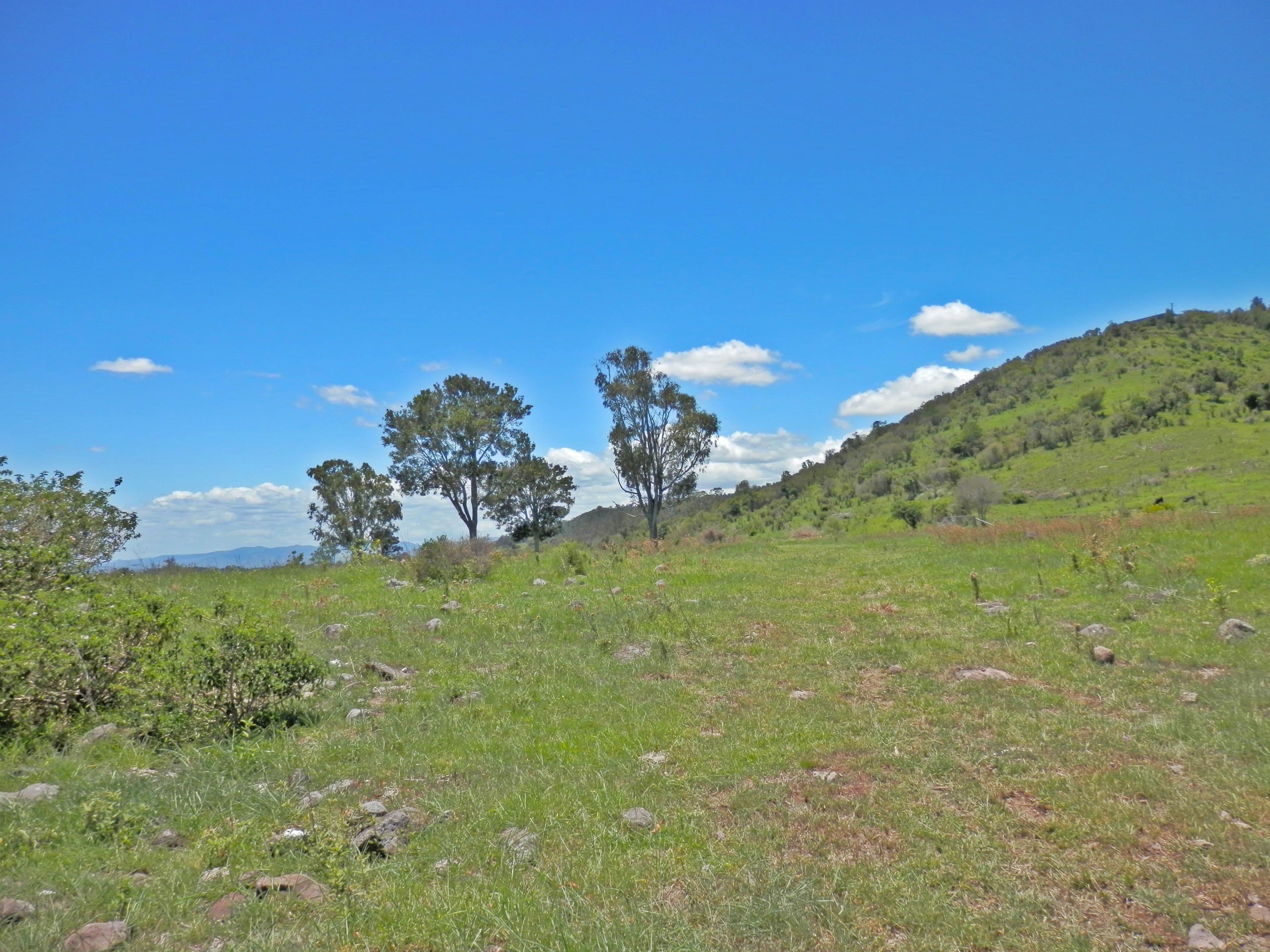 195 Lehmanns Road, Coolana QLD 4311, Coolana - Thumbnail 5