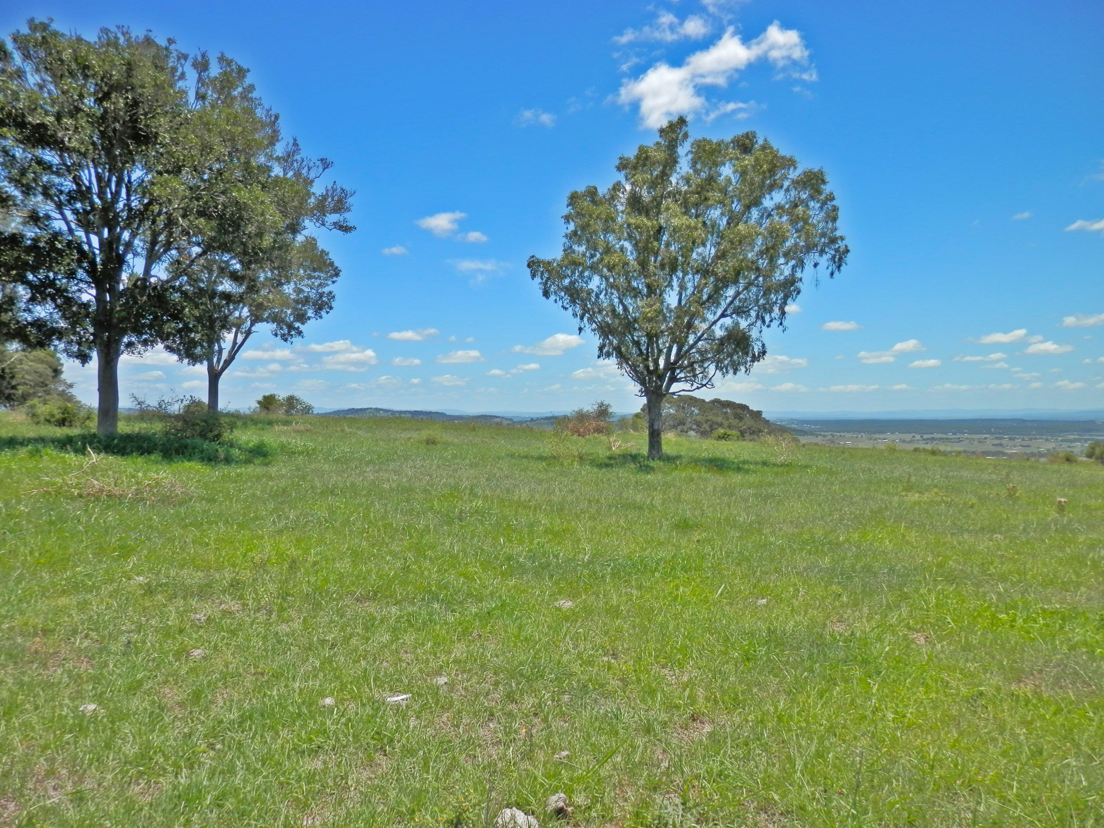 195 Lehmanns Road, Coolana QLD 4311, Coolana - Thumbnail 6