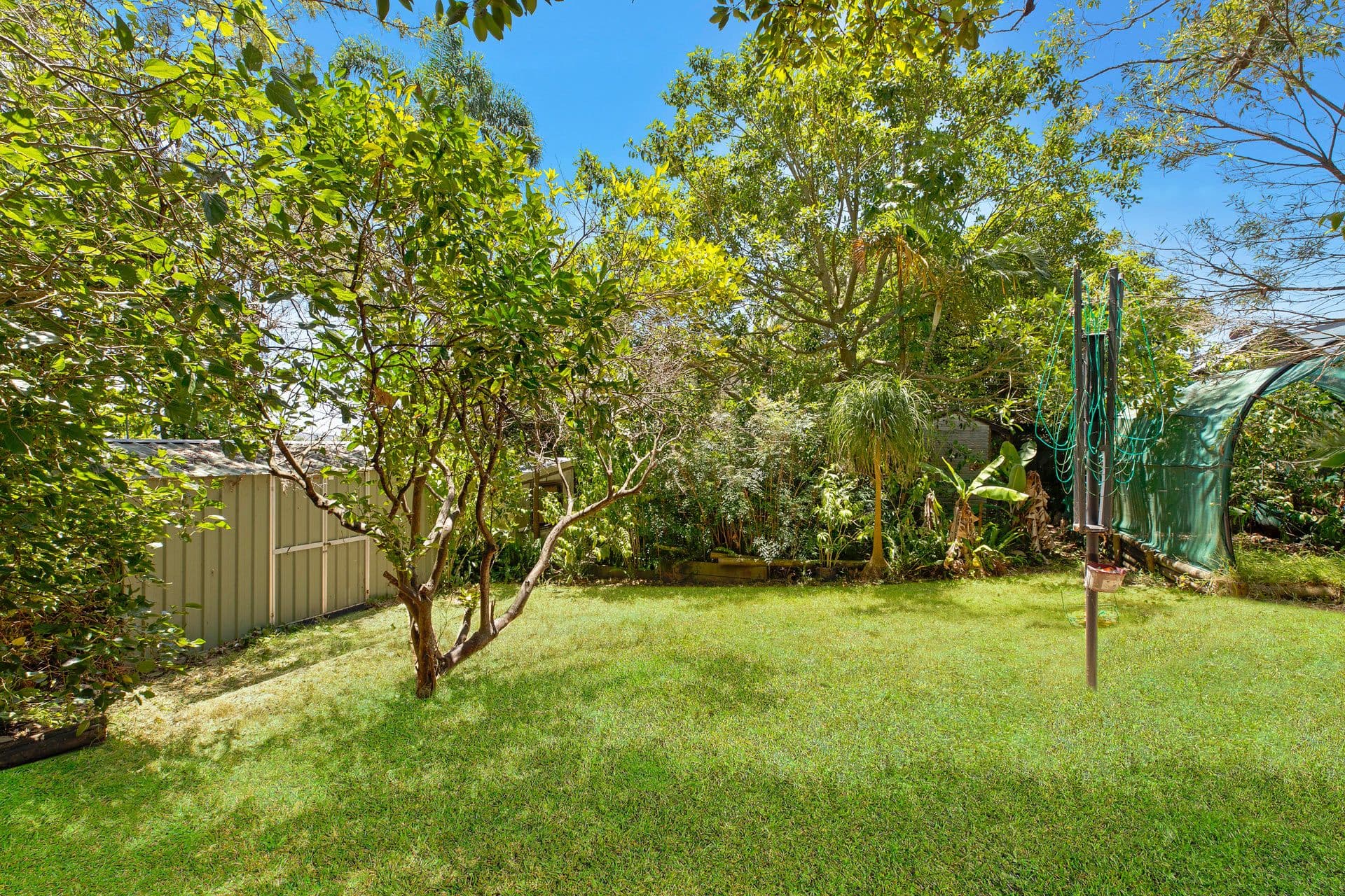 30 Alistair Avenue, Forresters Beach NSW 2260, Forresters Beach - Thumbnail 6