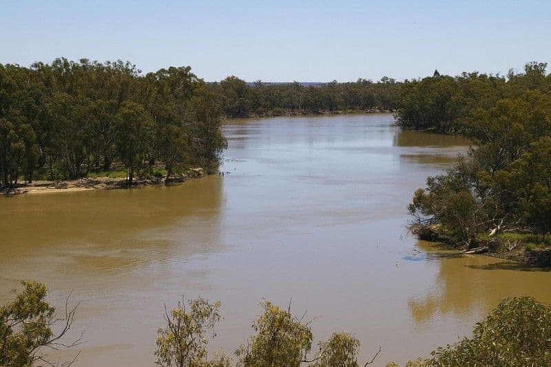 1513 Murtho Road, PARINGA SA 5340, Paringa - Image 1