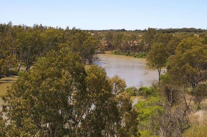 1513 Murtho Road, PARINGA SA 5340, Paringa - Thumbnail 2