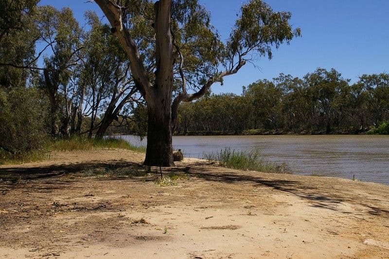 1513 Murtho Road, PARINGA SA 5340, Paringa - Thumbnail 3