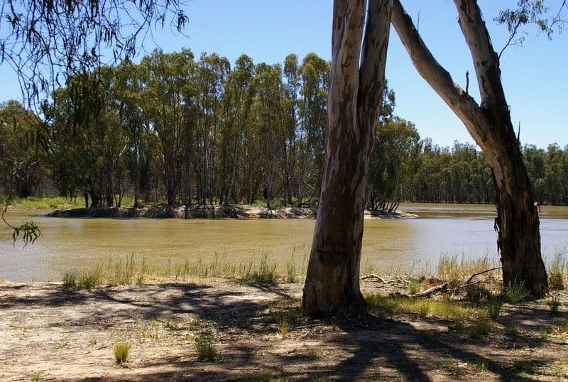 1513 Murtho Road, PARINGA SA 5340, Paringa - Thumbnail 4