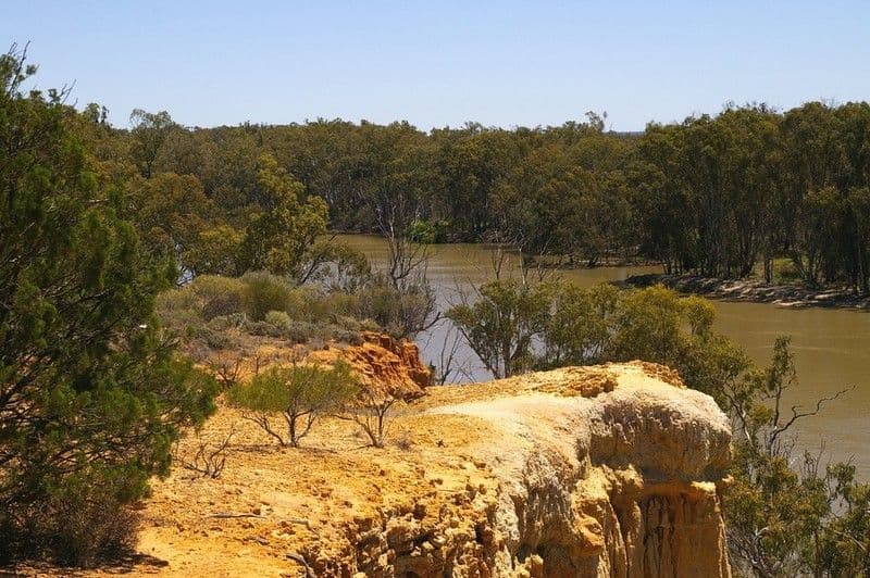 1513 Murtho Road, PARINGA SA 5340, Paringa - Thumbnail 5