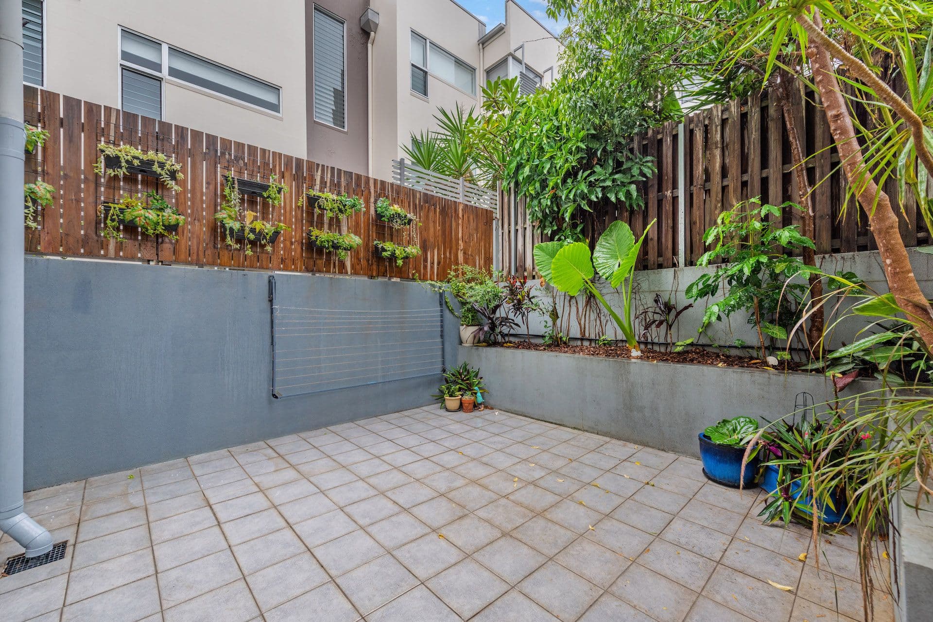 17A Florence Street, Teneriffe QLD 4005, Teneriffe - Thumbnail 4
