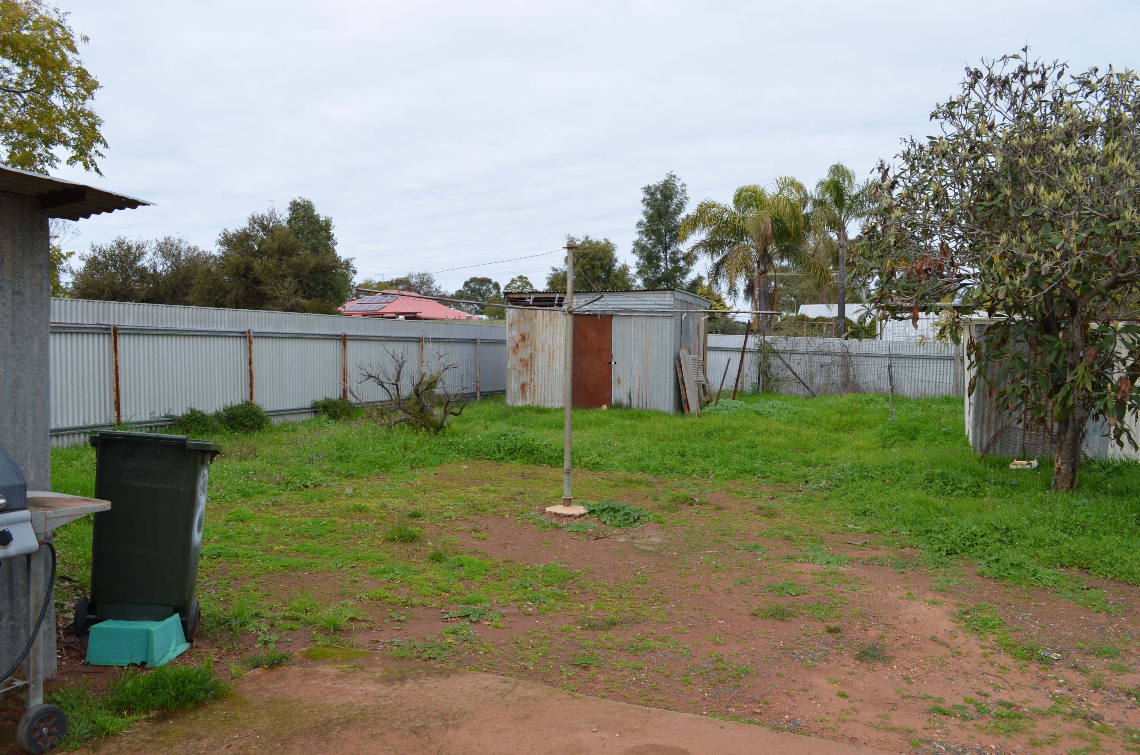 8 Brady Street, Condobolin NSW 2877, Condobolin - Thumbnail 5