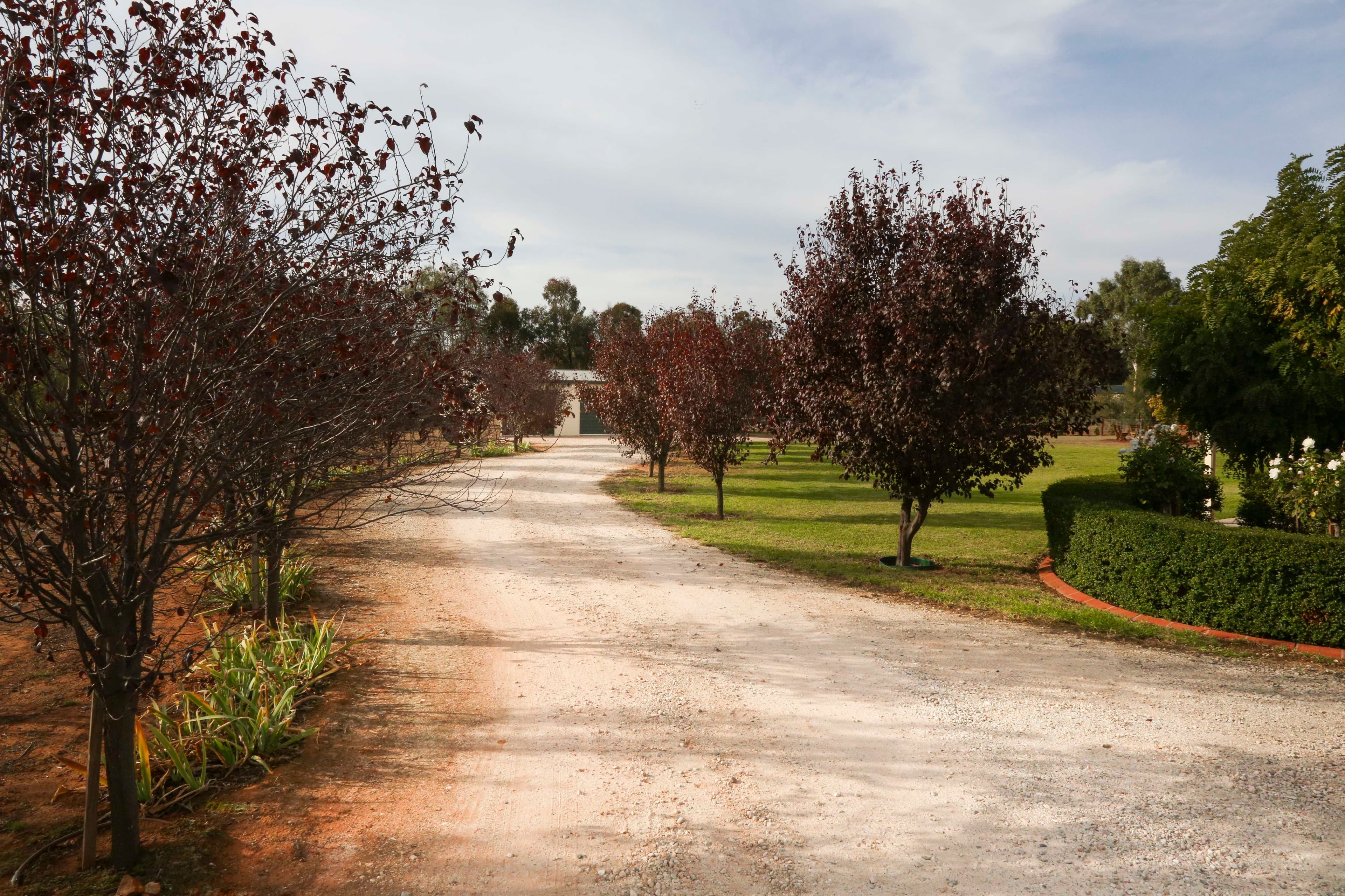 340 Boorga Road, Lake Wyangan - Thumbnail 6