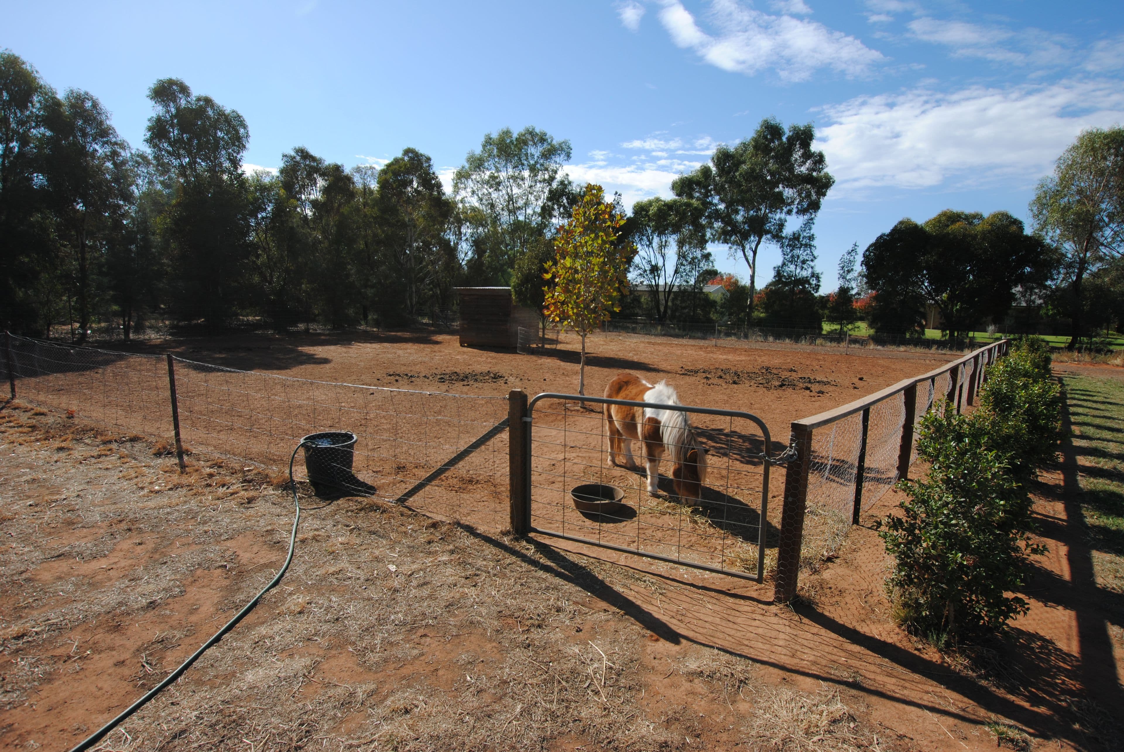 340 Boorga Road, Lake Wyangan - Thumbnail 8