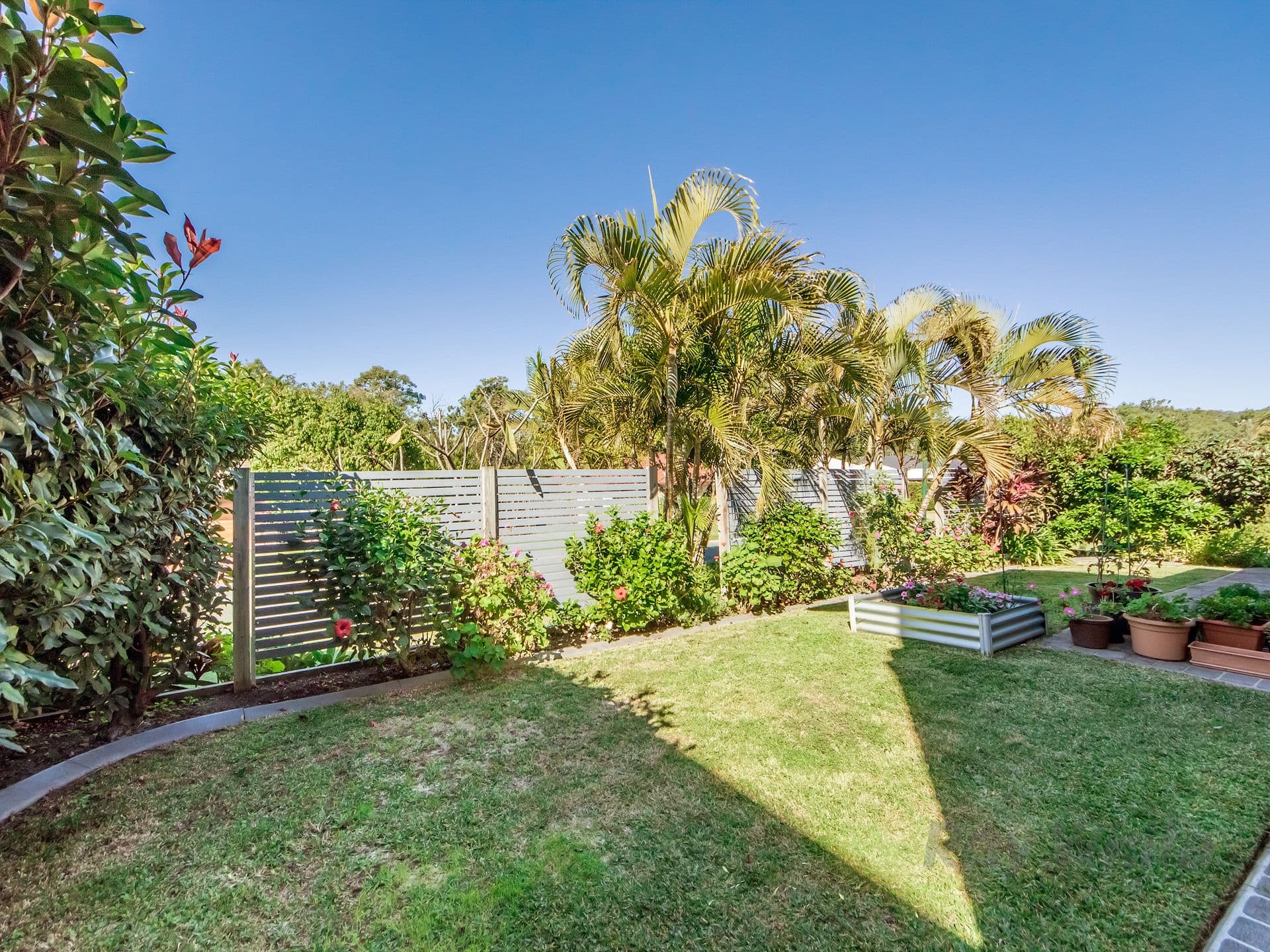 9 Callicoma Court, Ormeau QLD 4208, Ormeau - Thumbnail 4