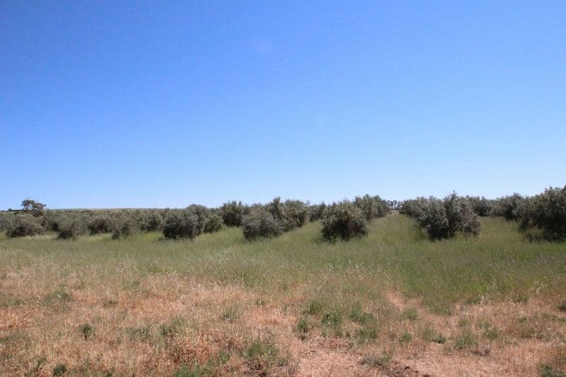 Lot 57 Dennis Road, Auburn SA 5451, Auburn - Image 1