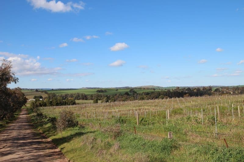 Lot 57 Dennis Road, Auburn SA 5451, Auburn - Thumbnail 2