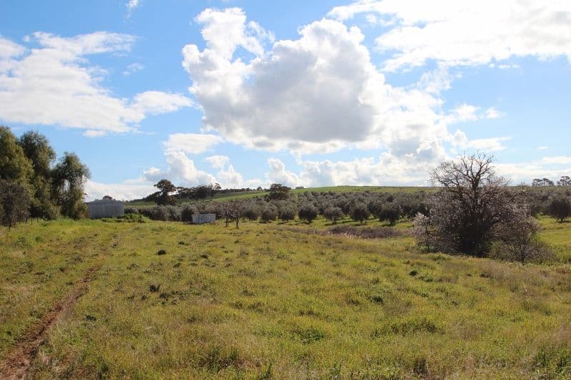 Lot 57 Dennis Road, Auburn SA 5451, Auburn - Thumbnail 3