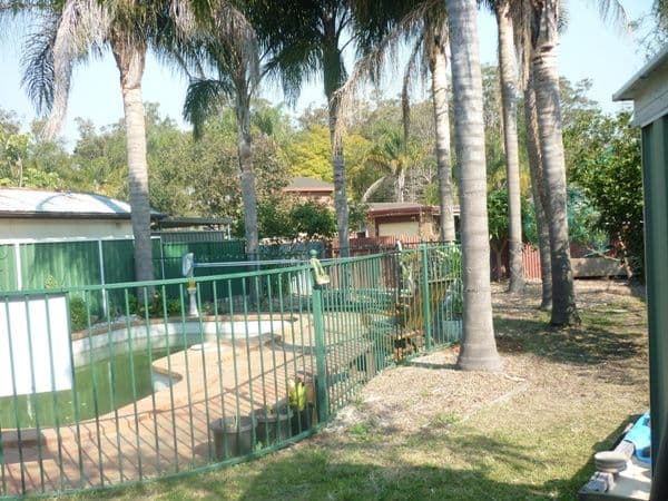 16 Calypta Road, UMINA BEACH NSW 2257, Umina Beach - Thumbnail 5