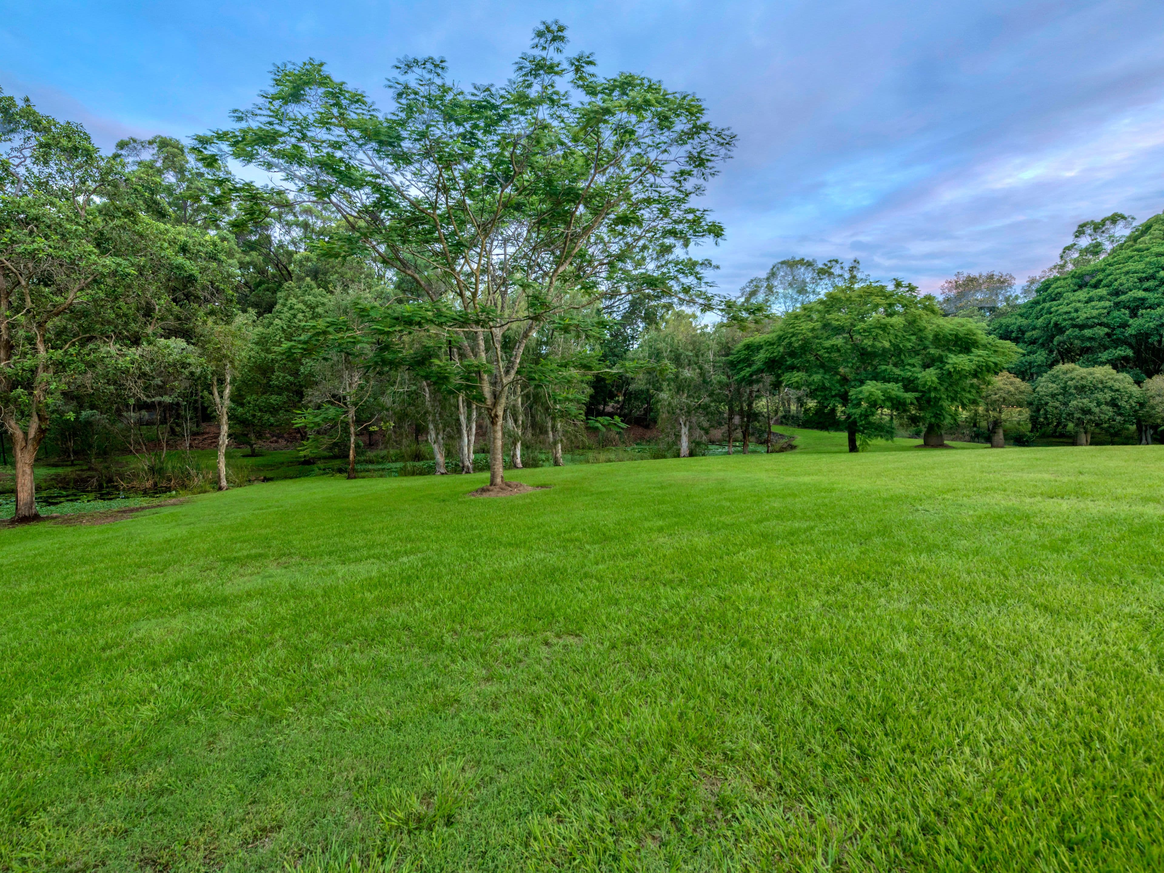 947 Beams Road, Bridgeman Downs QLD 4035, Bridgeman Downs - Thumbnail 5