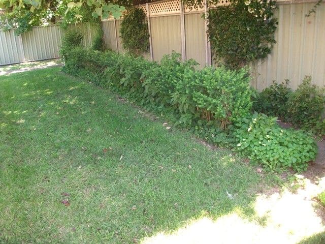 222 Dalton Street, ORANGE NSW 2800, Orange - Thumbnail 4