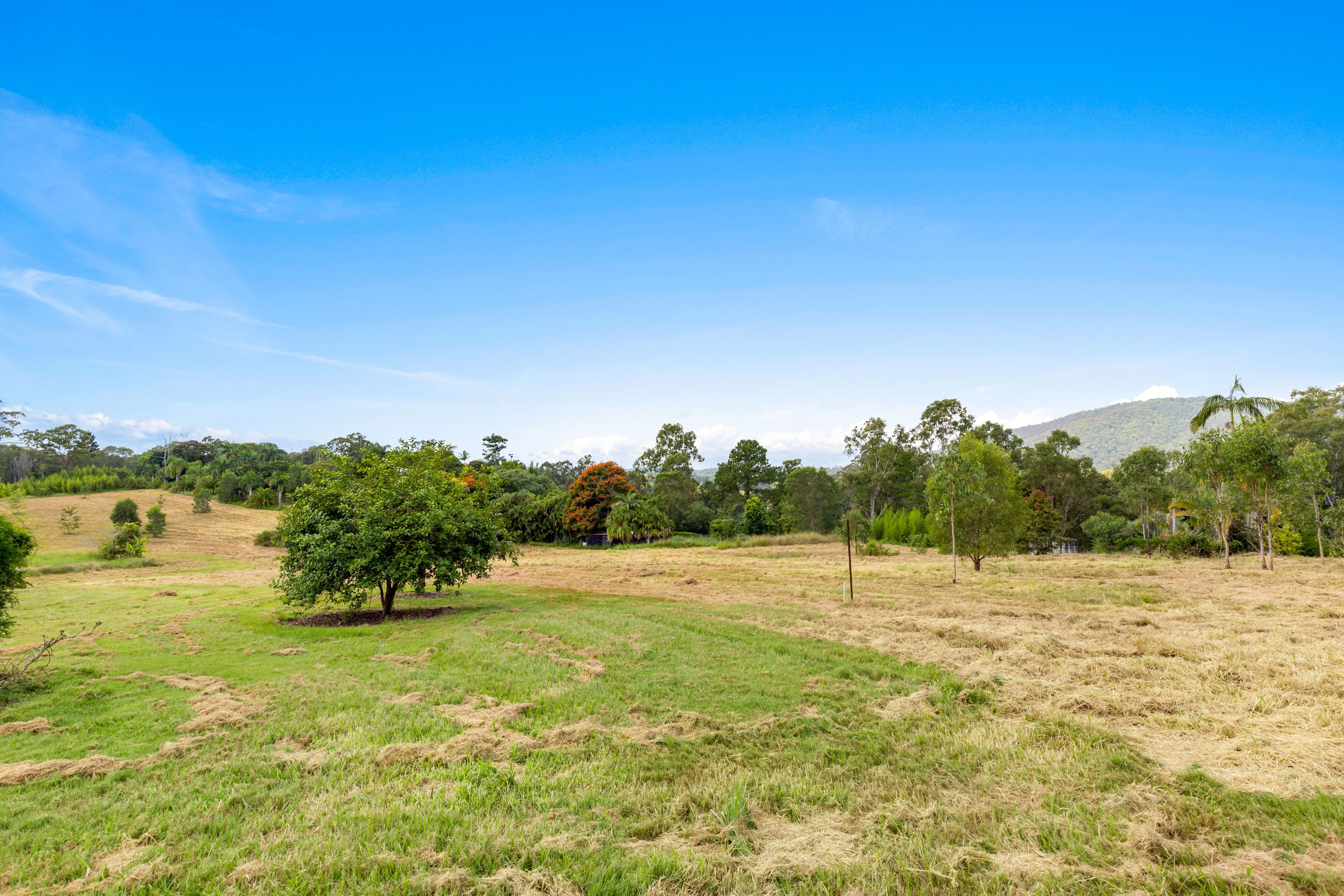 32 Richards Road, Samford Valley QLD 4520, Samford Valley - Image 1