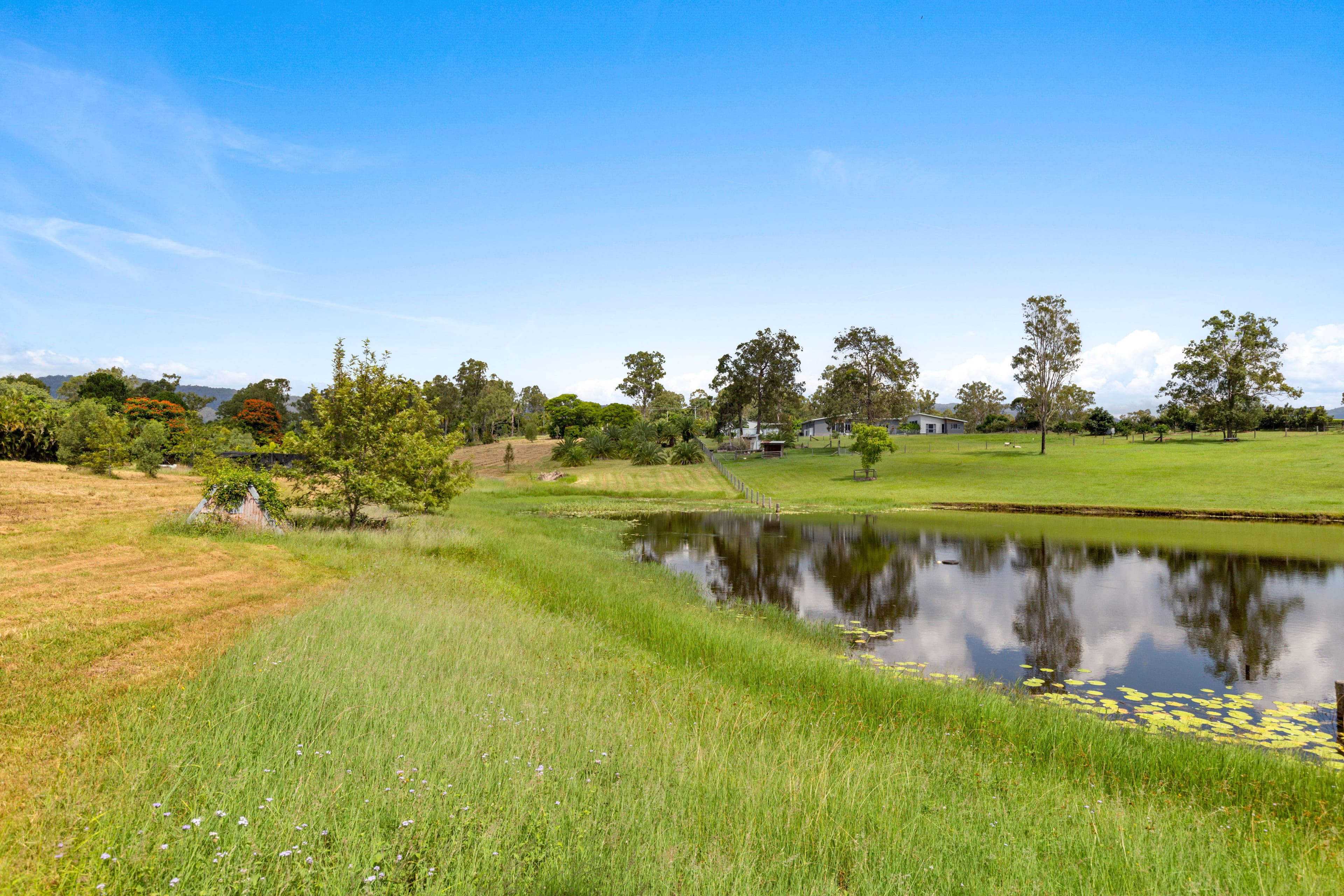 32 Richards Road, Samford Valley QLD 4520, Samford Valley - Thumbnail 5