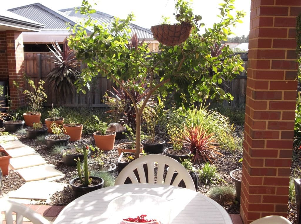 20 Westbrook Parade, ELLENBROOK WA 6069, Ellenbrook - Thumbnail 7