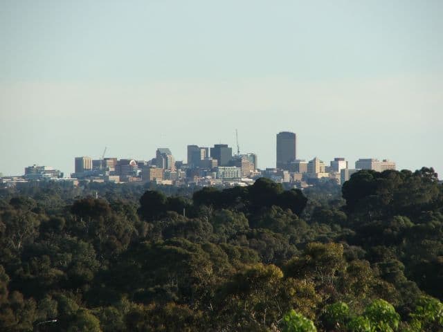 26 Mill Terrace, EDEN HILLS SA 5050, Eden Hills - Thumbnail 4