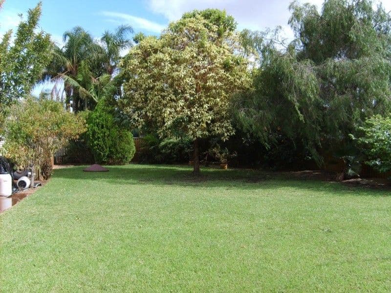 35 Congdon Avenue, PINJARRA WA 6208, Pinjarra - Thumbnail 6