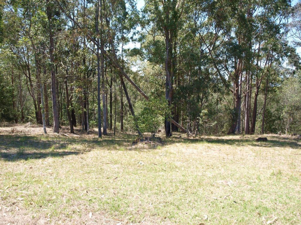 132 Crisp Drive, Ashby Heights NSW 2463, Ashby Heights - Thumbnail 2