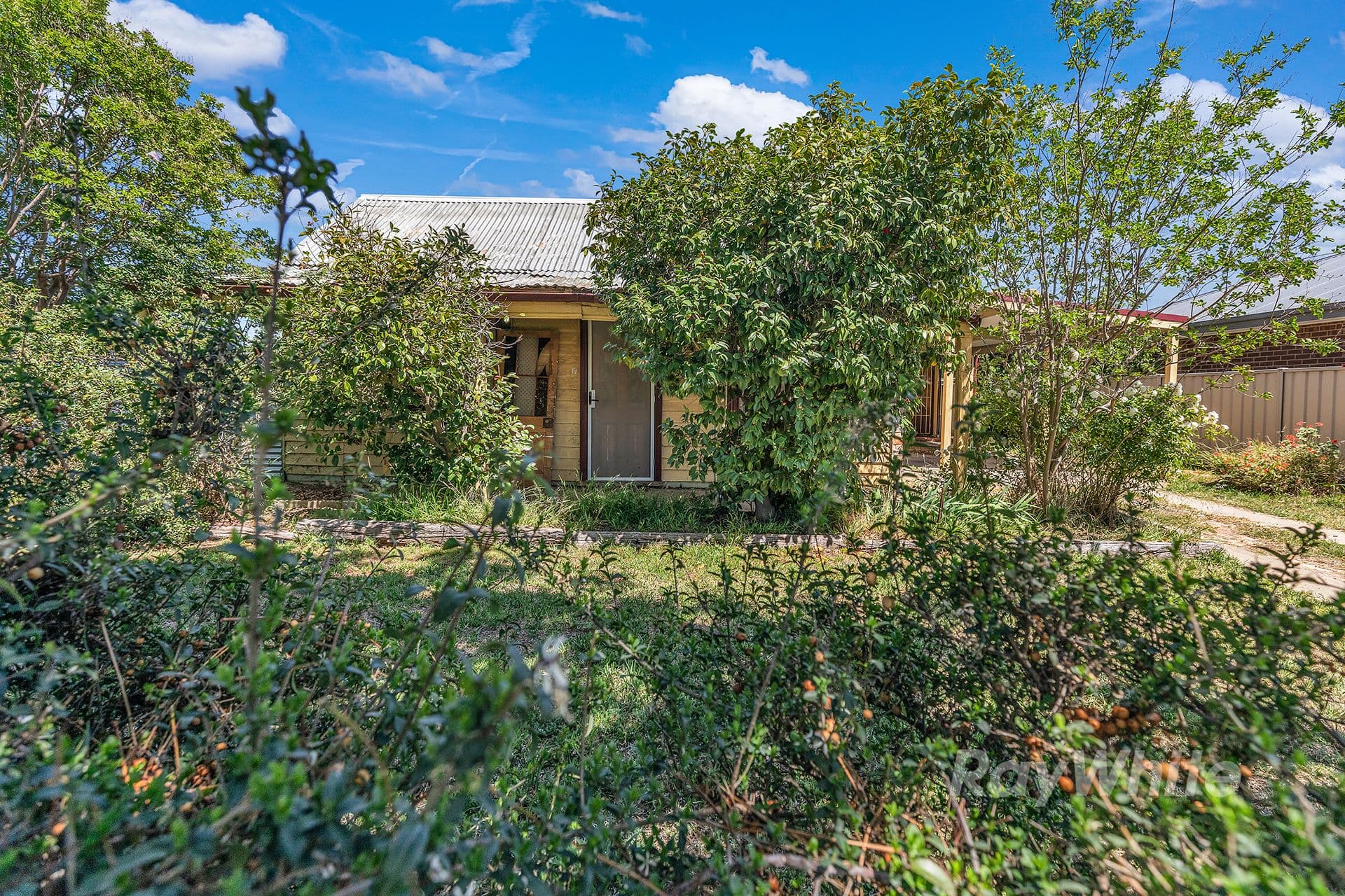 81 Hume Street, Echuca VIC 3564, Echuca - Thumbnail 7