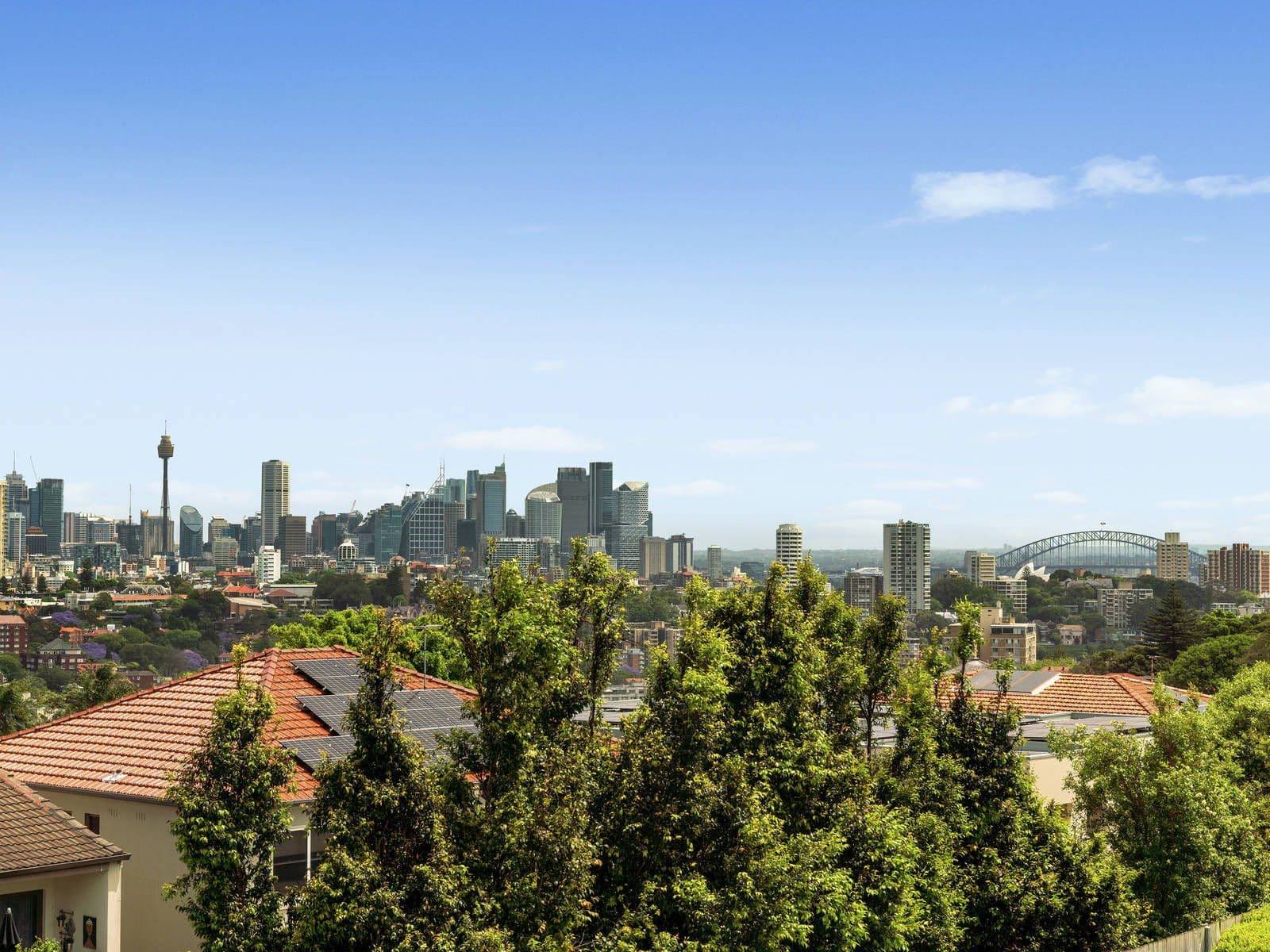 24 Kambala Road, Bellevue Hill NSW 2023, Bellevue Hill - Thumbnail 6