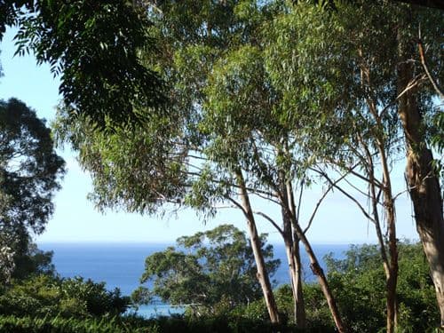 4 Albert Court, DROMANA VIC 3936, Dromana - Thumbnail 4