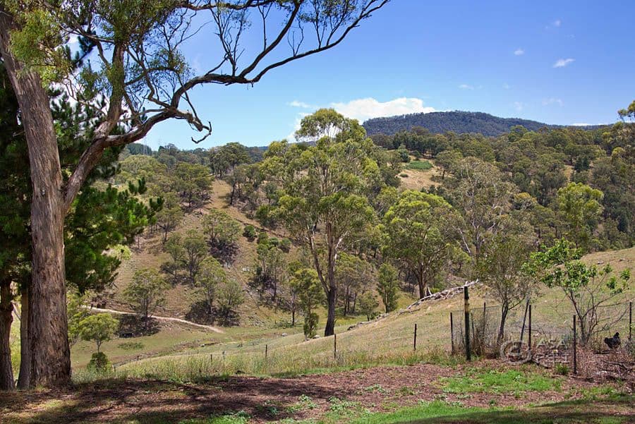 79 Blackmans Creek Road, Hartley NSW 2790, Hartley - Image 1