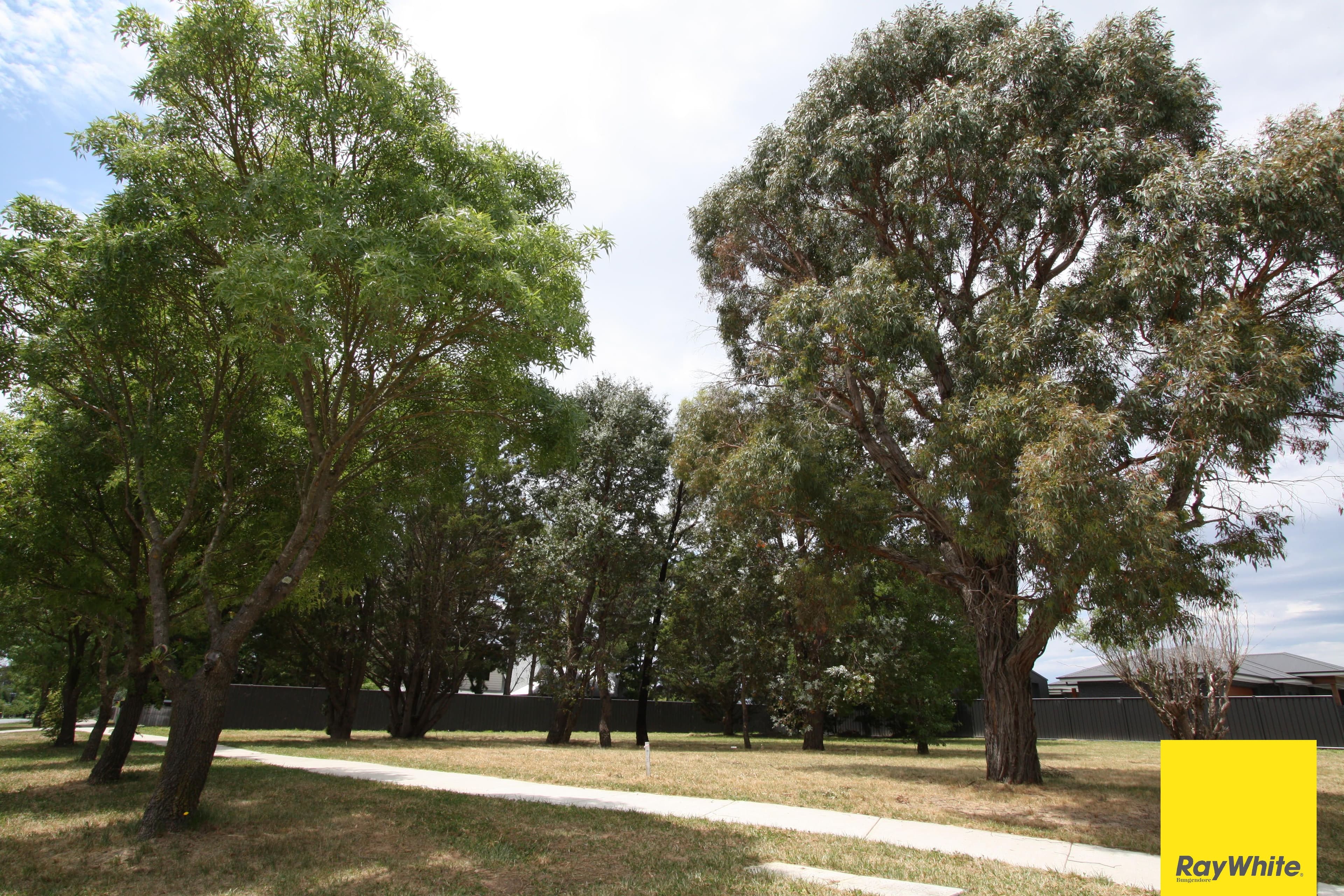 1 Sparrow Close, Bungendore NSW 2621, Bungendore - Thumbnail 5