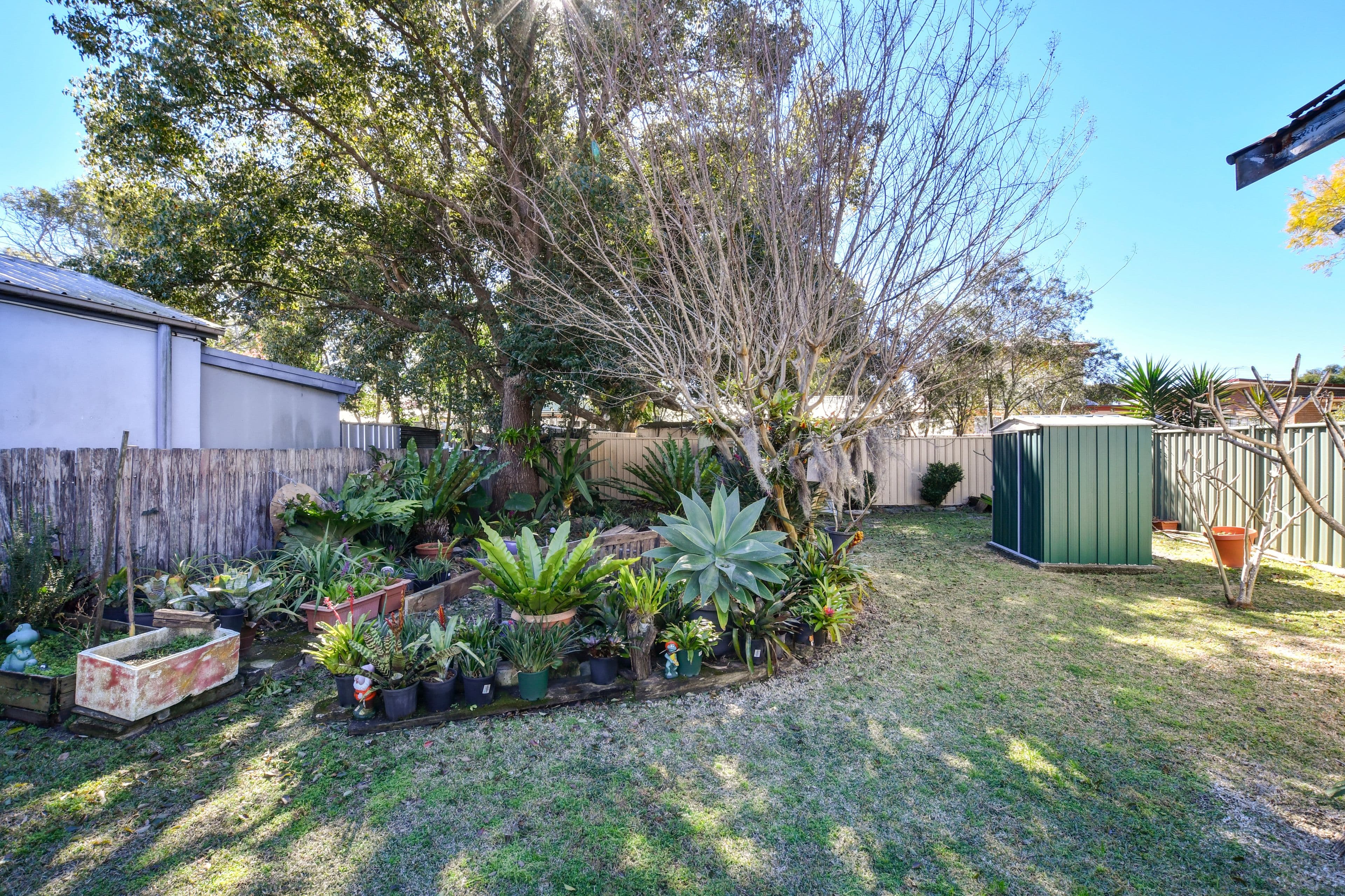 41 Alexandra Street, Umina Beach - Thumbnail 7