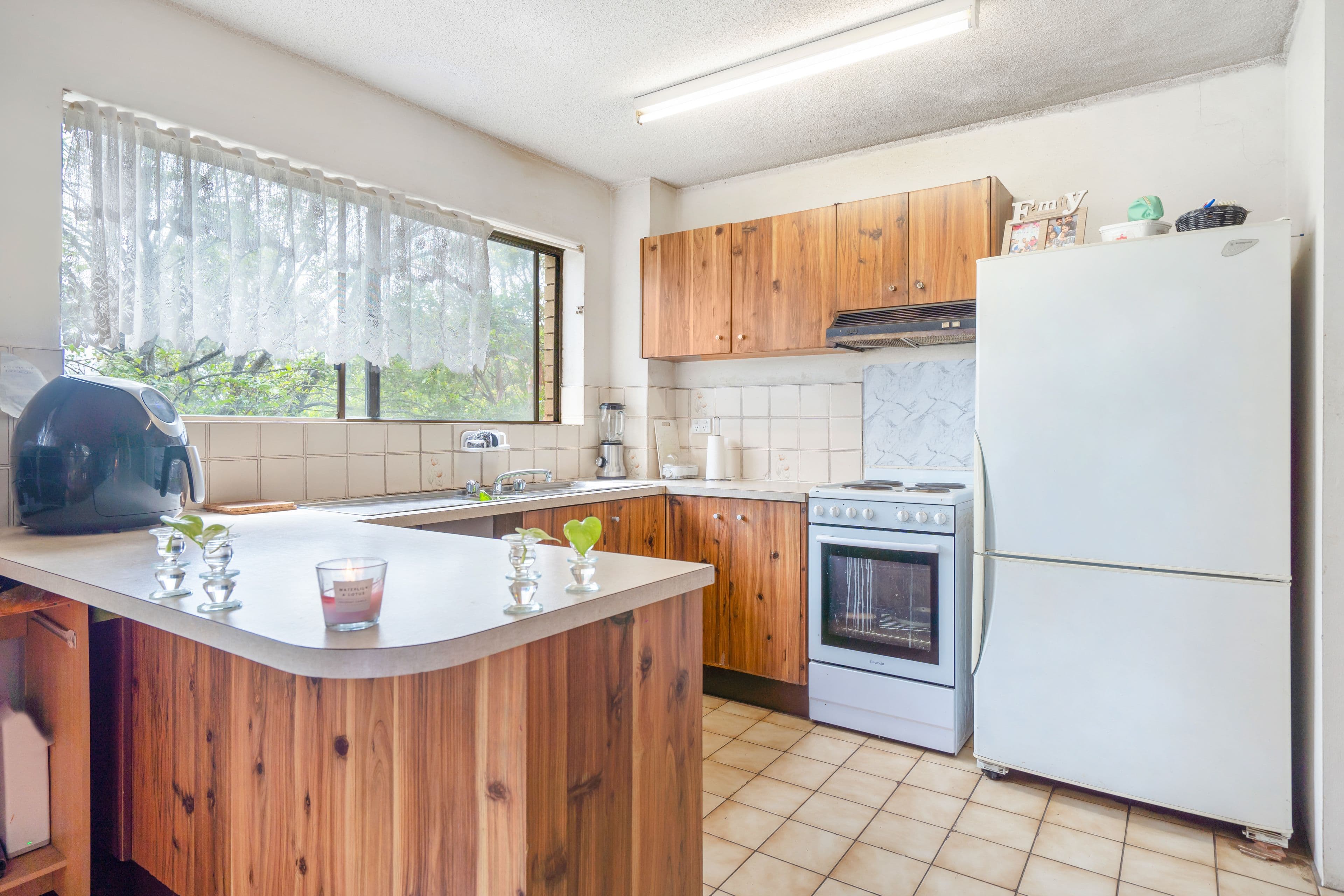 22 Avocado Street, Macgregor QLD 4109, Macgregor - Thumbnail 3