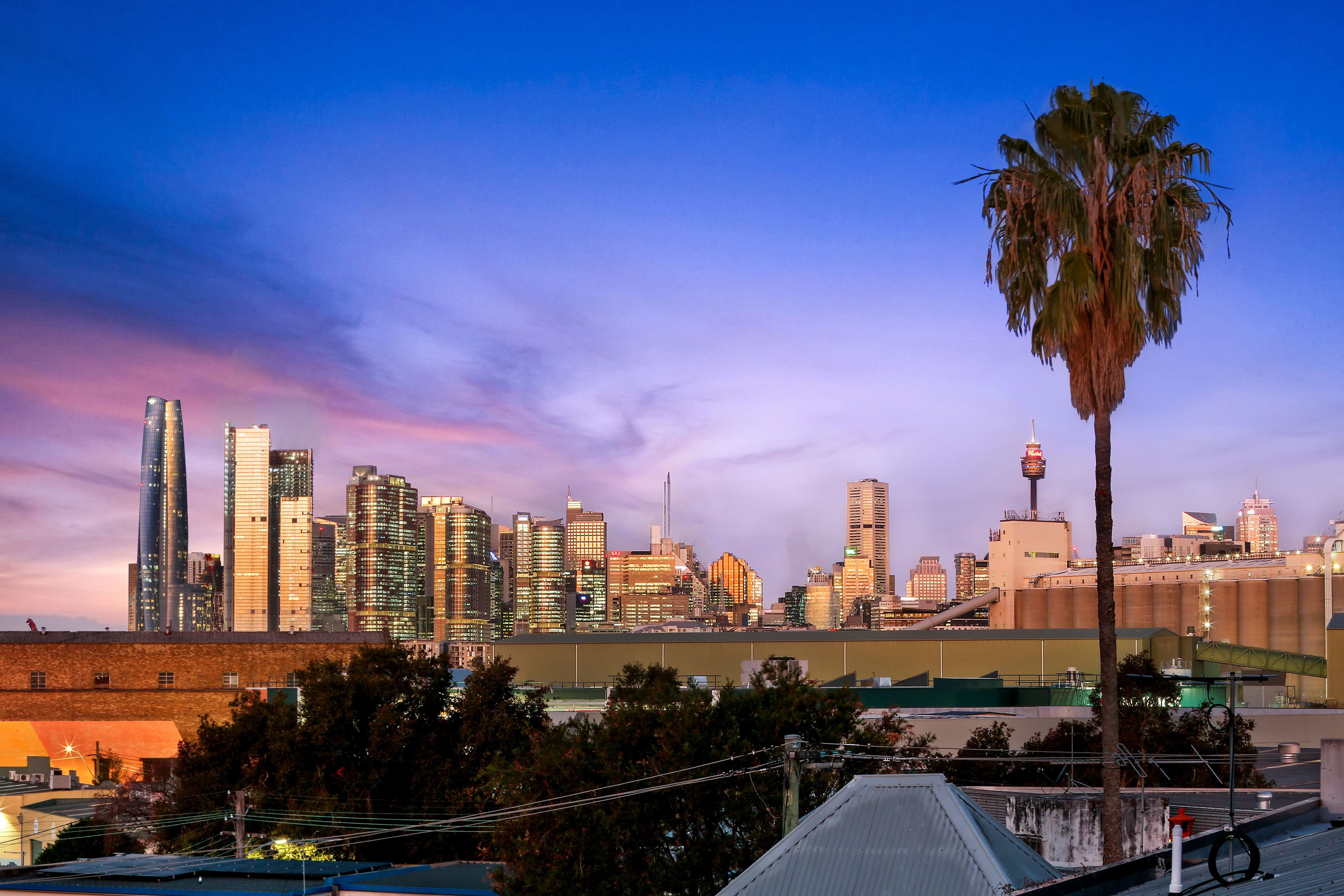 8 Joseph Street, Rozelle NSW 2039, Rozelle - Thumbnail 6