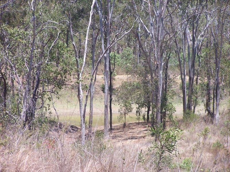 Lot 51 Rattenbury Road, LIMESTONE CREEK QLD 4701, Limestone Creek - Thumbnail 3