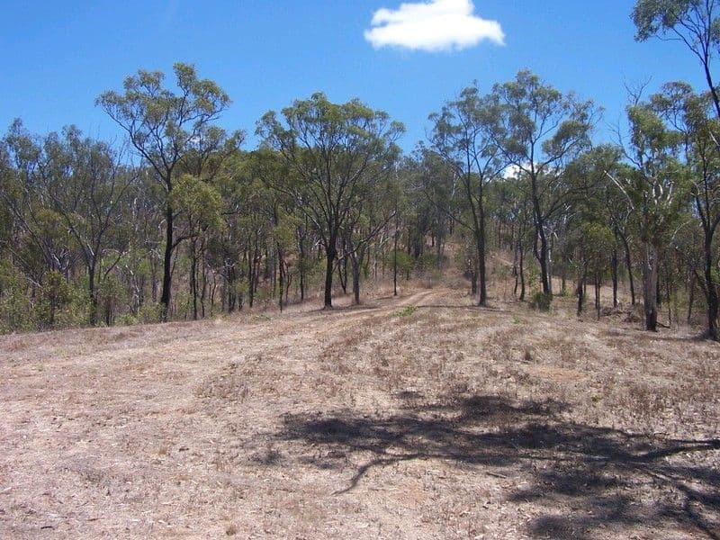 Lot 51 Rattenbury Road, LIMESTONE CREEK QLD 4701, Limestone Creek - Thumbnail 4