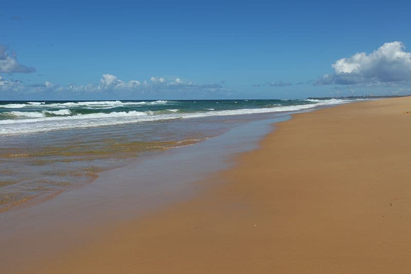 26 Oceanic Drive, Warana QLD 4575, Warana - Thumbnail 2