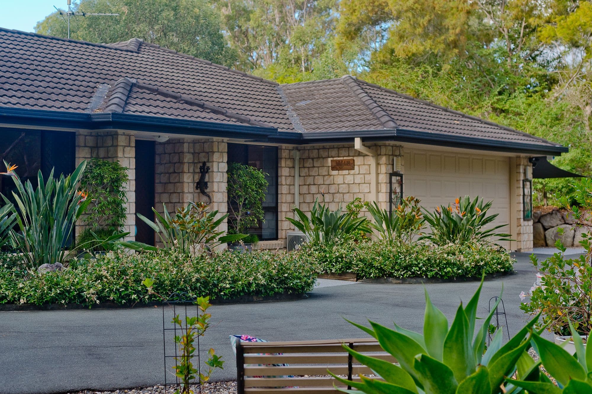 34 Forest Road, Cashmere QLD 4500, Cashmere - Thumbnail 4