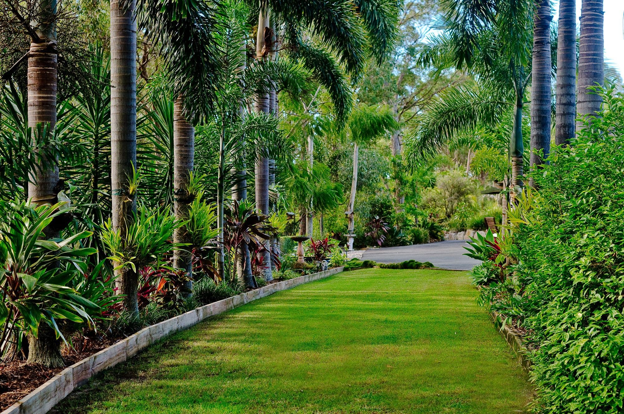 34 Forest Road, Cashmere QLD 4500, Cashmere - Thumbnail 5