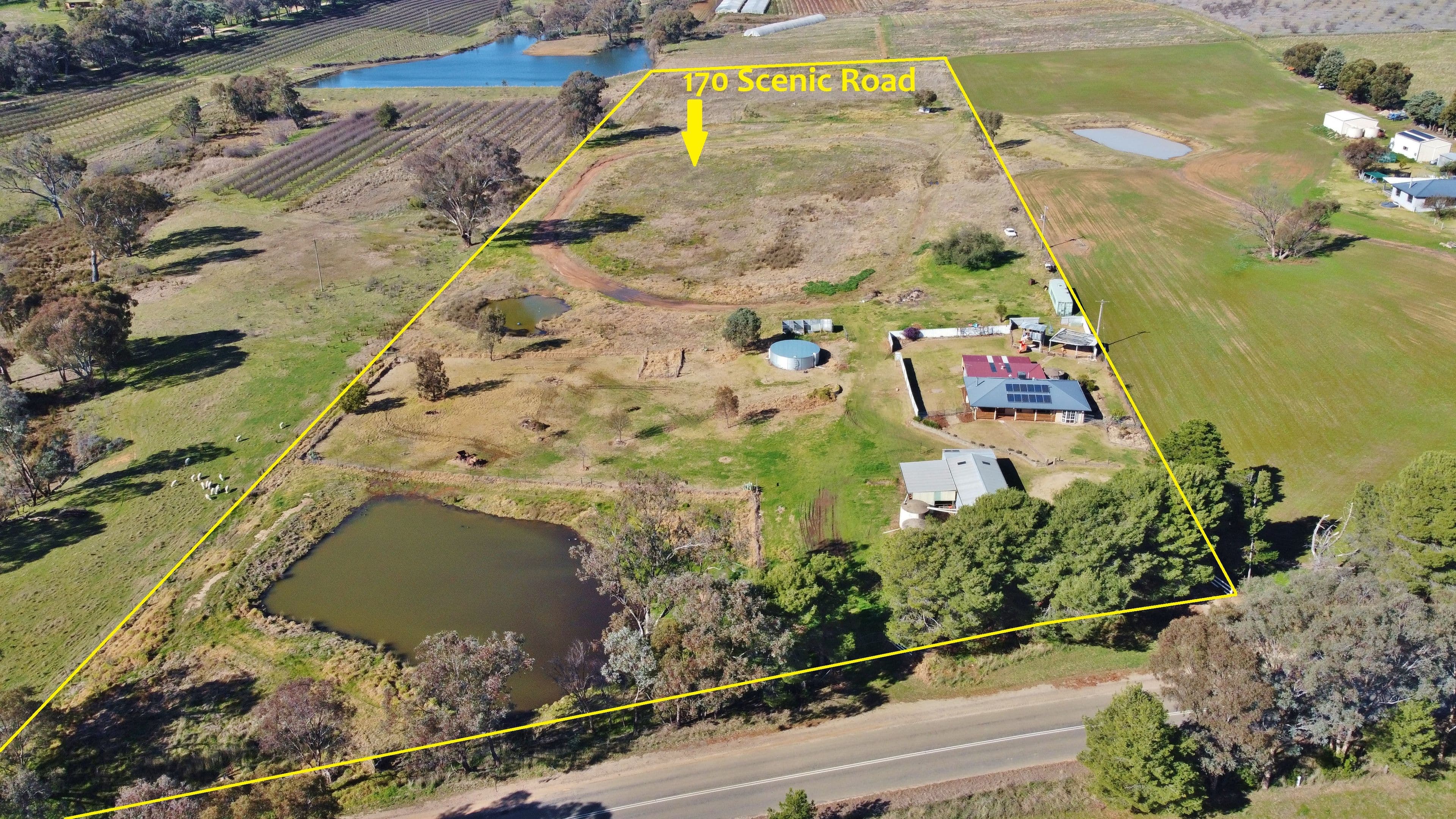 170 Scenic Road, Young NSW 2594, Young - Thumbnail 2