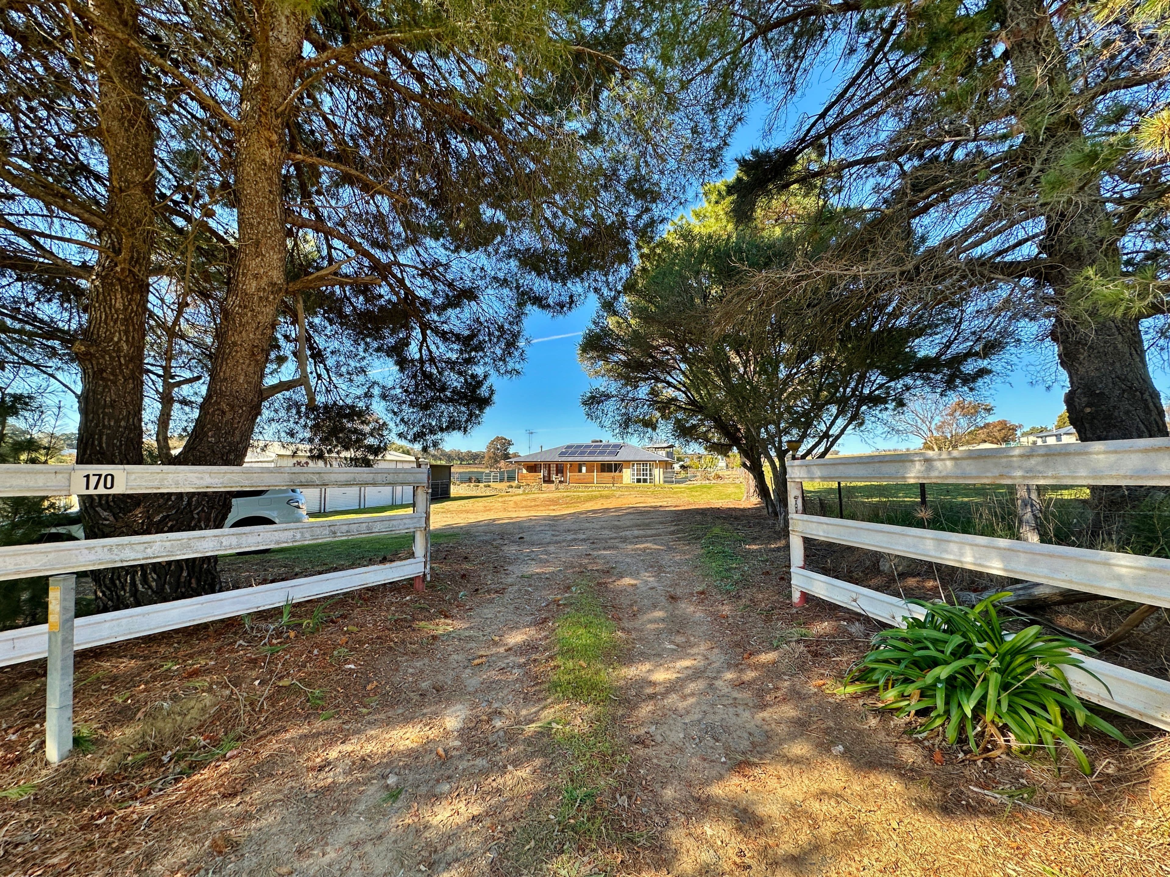 170 Scenic Road, Young NSW 2594, Young - Thumbnail 4