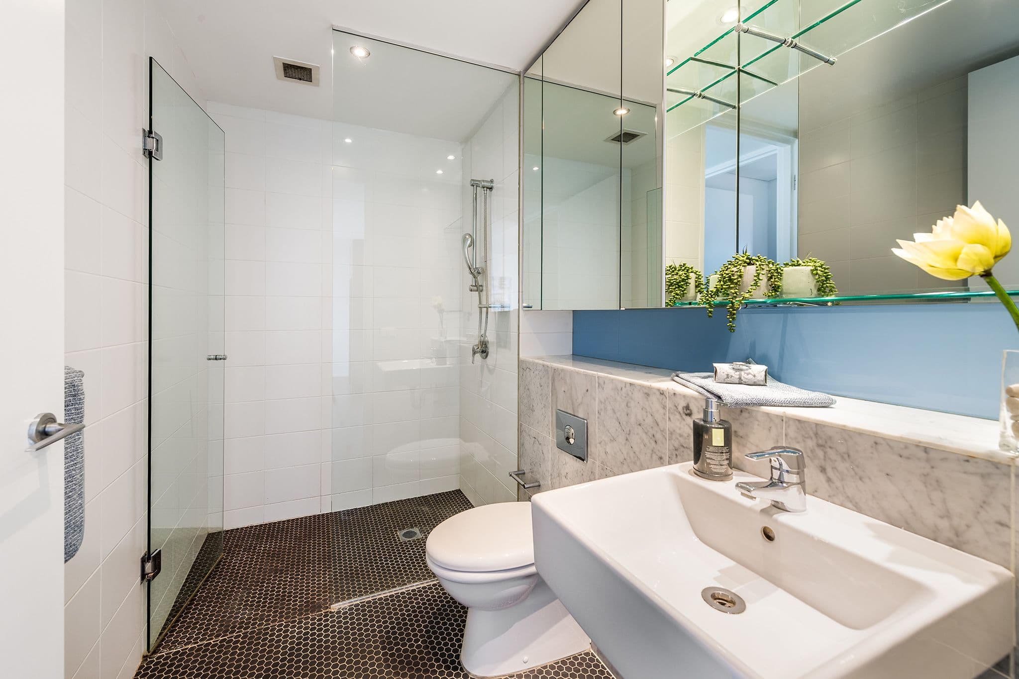 1 Alexandra Drive, Camperdown NSW 2050, Camperdown - Thumbnail 8