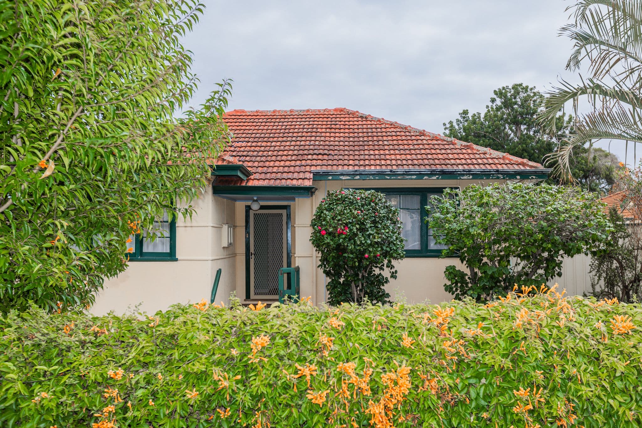 21 Belvidere Street, Belmont WA 6104, Belmont - Image 1