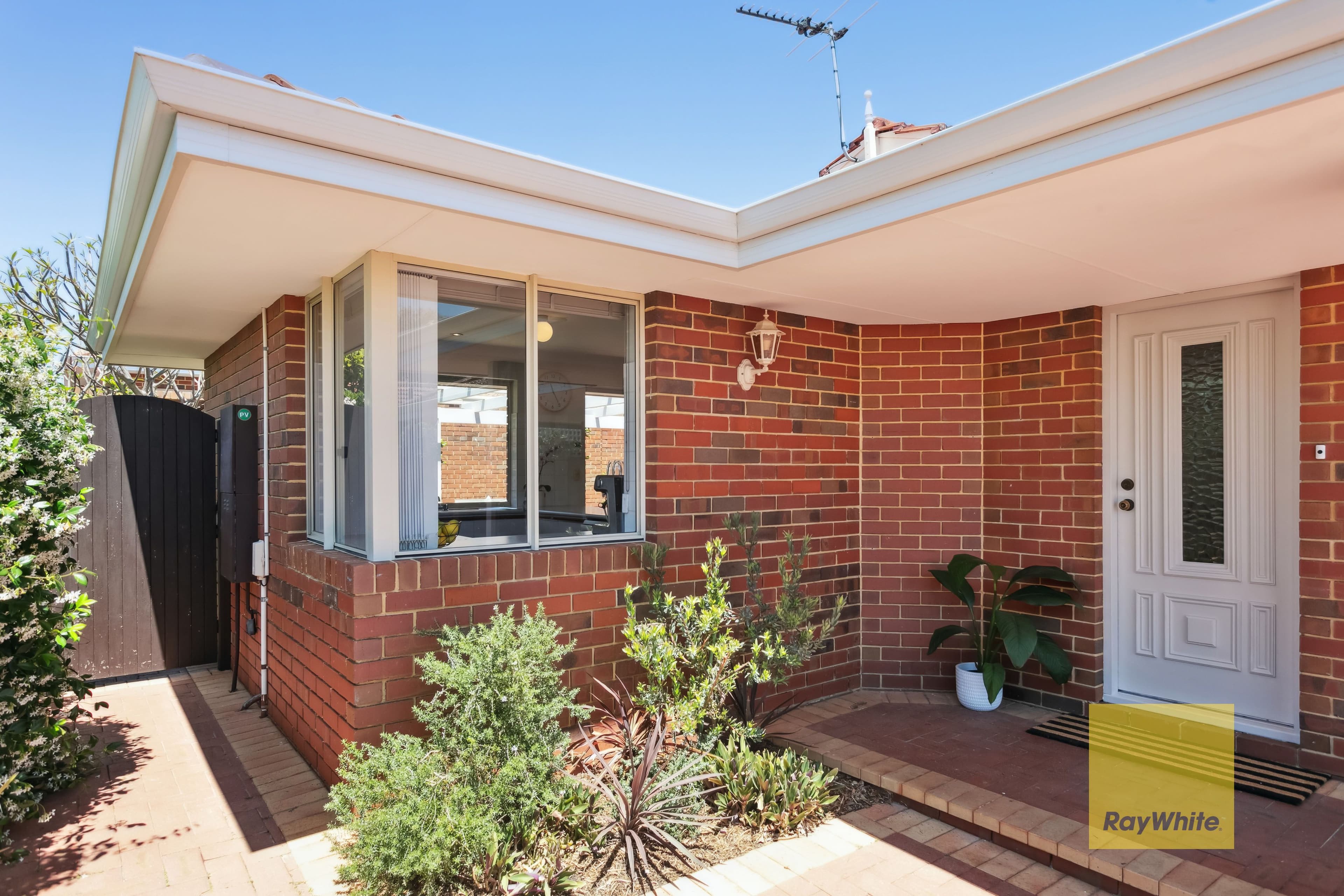 19A Evandale Street, Floreat WA 6014, Floreat - Thumbnail 3