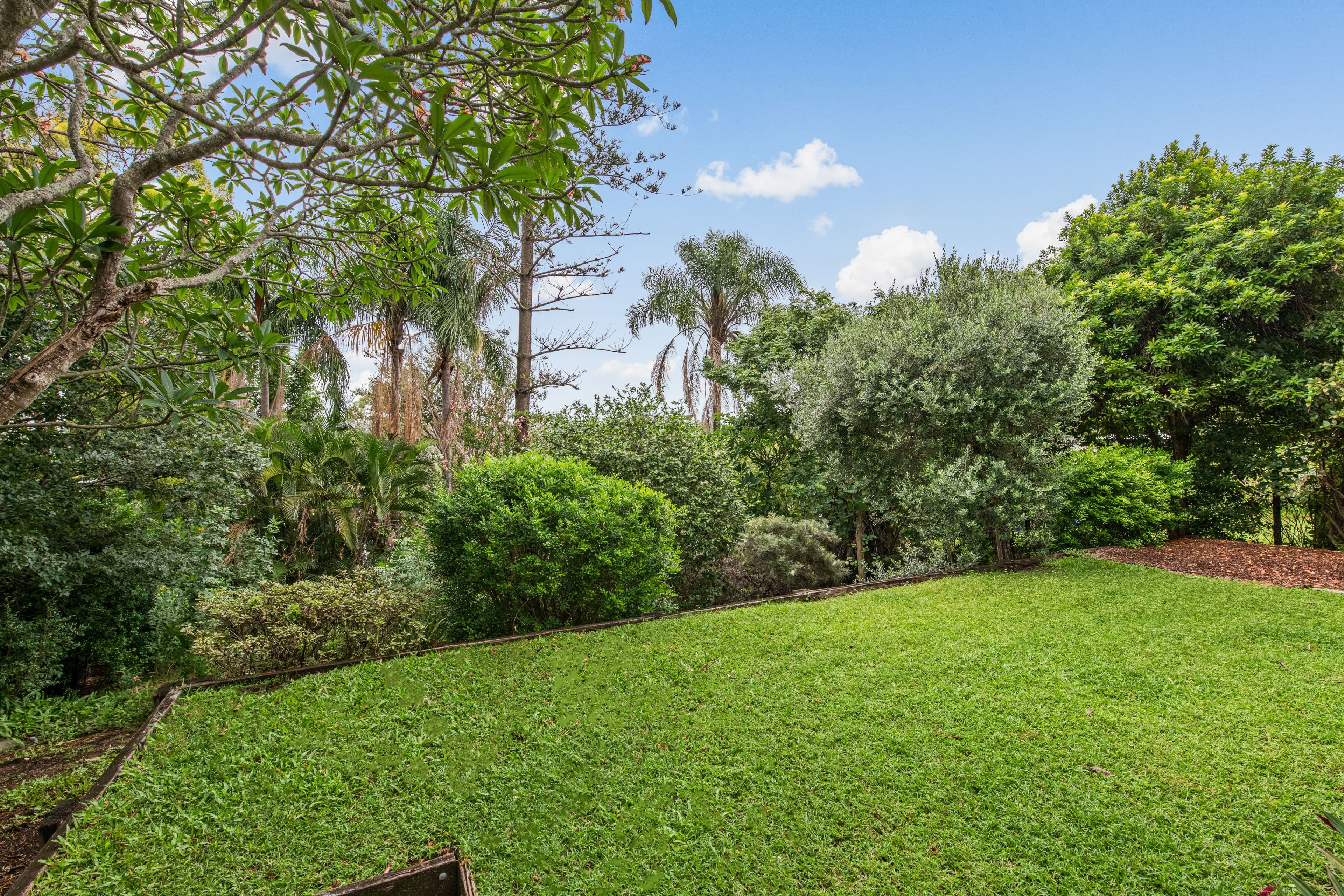6 Davies Road, Ashgrove QLD 4060, Ashgrove - Thumbnail 6