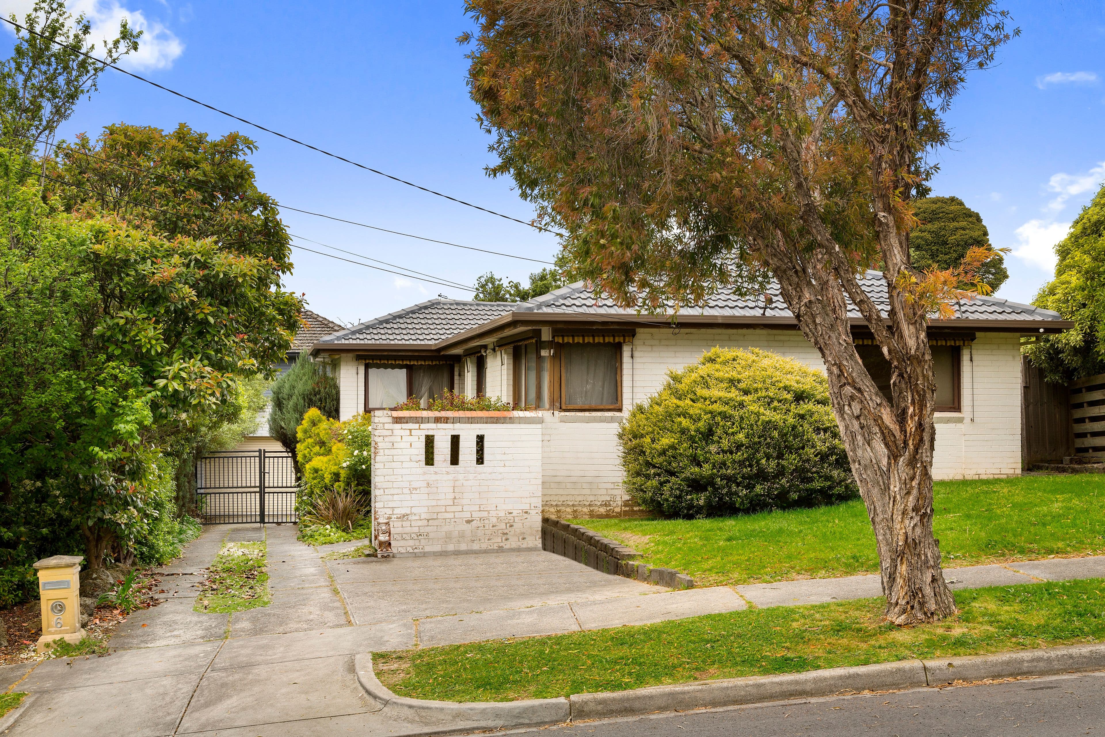 51 Buddleia, Inala, Inala - Thumbnail 2