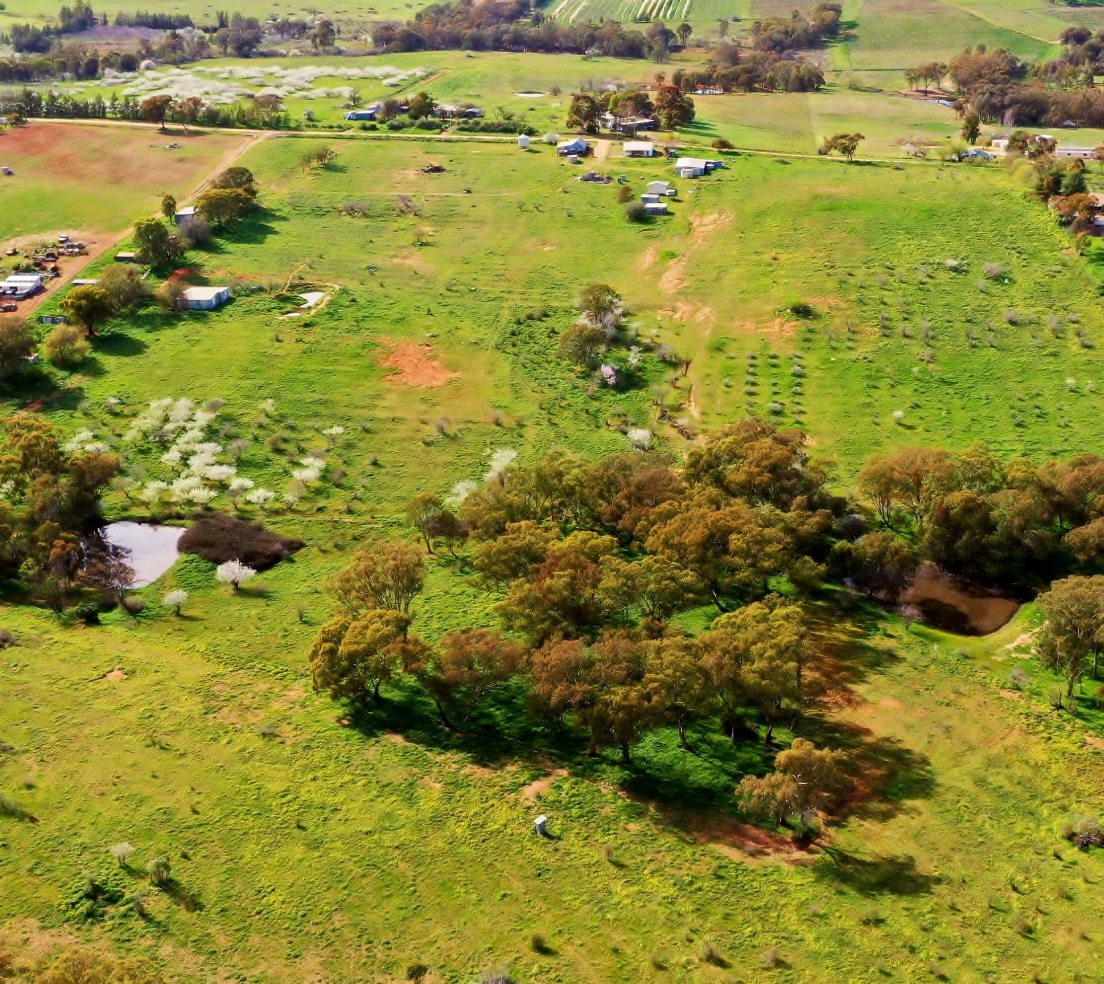 149 Commons Road, Young NSW 2594, Young - Thumbnail 2